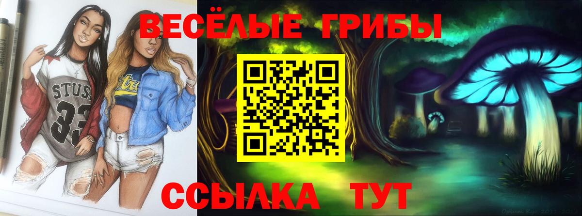 Галлюциногенные грибы мухоморы  Вход с VPN  Клин 