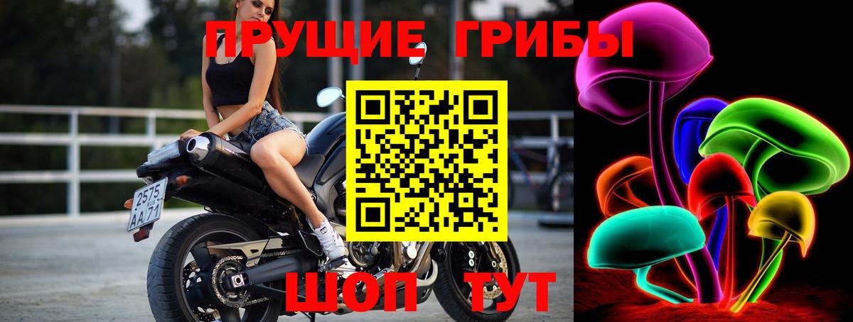 Галлюциногенные грибы Psilocybine cubensis Клин