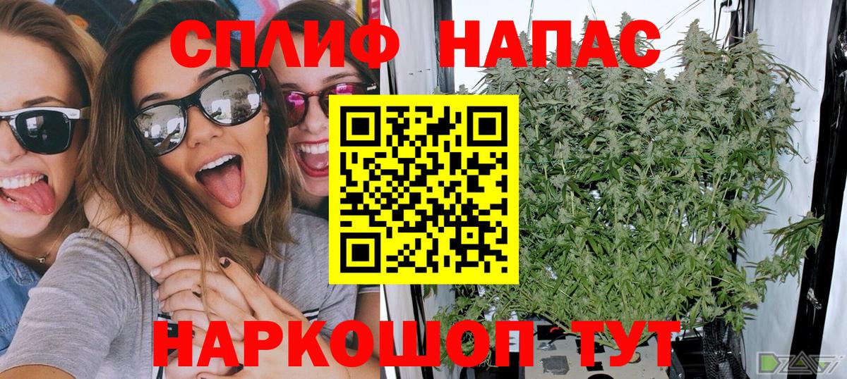 Бошки Шишки Amnesia Клин
